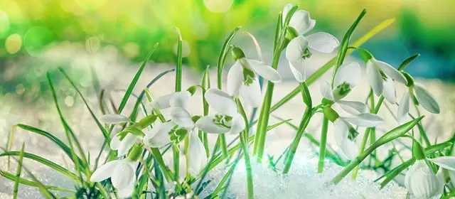 Horoskop na Poniedziałek 12 Styczeń 2026