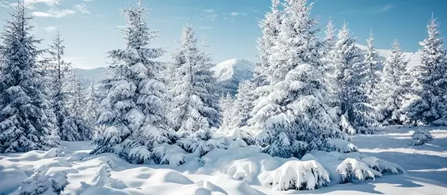 Horoskop na  Sobota 24 Styczeń 2026