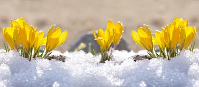 Horoskop na  Niedziela 25 Styczeń 2026