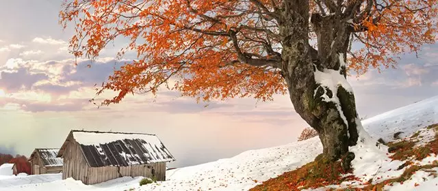 Horoskop na Sobota 31 Styczeń 2026