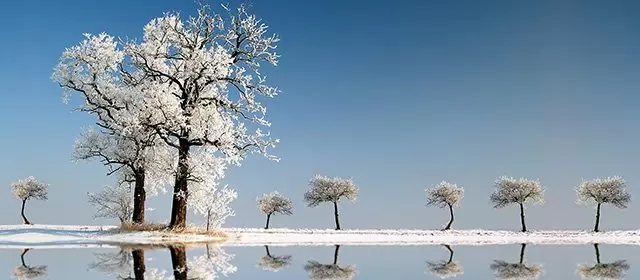 Horoskop Panny na luty 2026