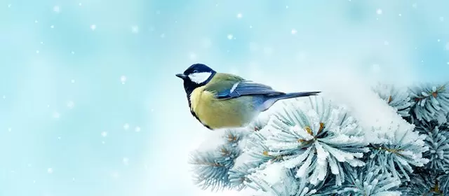 Horoskop na Poniedziałek 2 Luty 2026