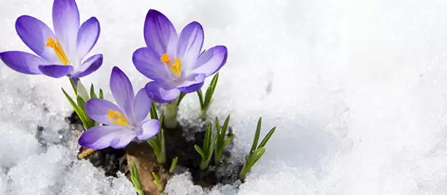 Horoskop na Czwartek 5 Luty 2026