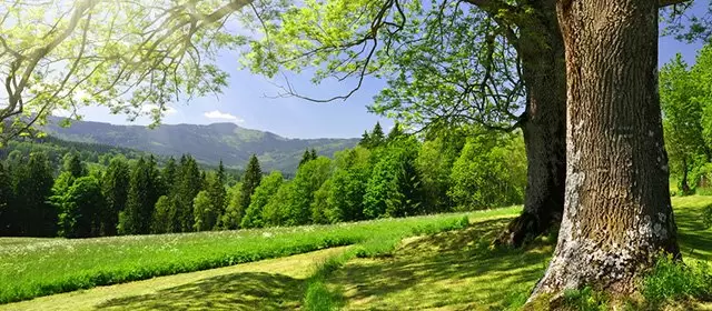Horoskop Panny na kwiecień 2026