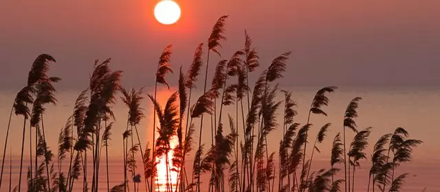 Horoskop na Niedziela 5 Kwiecień 2026