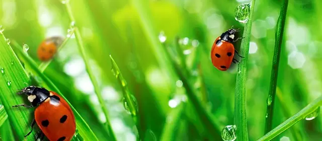 Horoskop na Niedziela 12 Kwiecień 2026