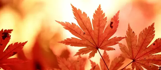 Horoskop na Sobota 8 Listopad 2025