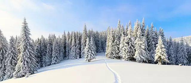 Horoskop na Wtorek 30 Grudzień 2025