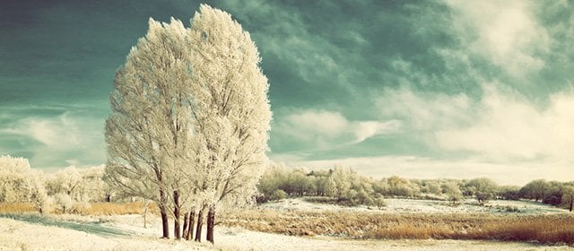 Horoskop na 14, stycznia 2026 r.