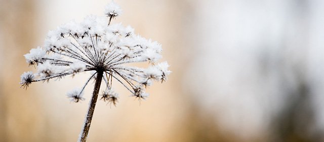 Horoskop na 3, lutego 2026 r.