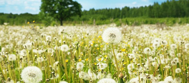 Horoskop na 3, marca 2026 r.