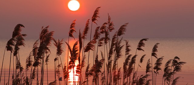 Horoskop na 5, kwietnia 2026 r.