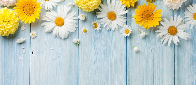 Horoskop na 19, kwietnia 2026 r.