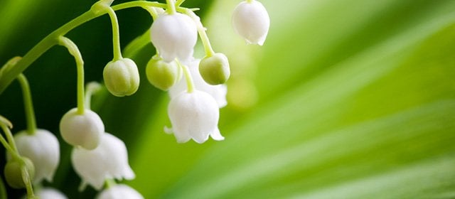 Horoskop na 2 Maj 2025