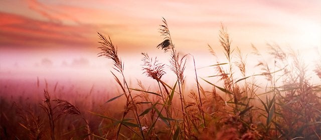 Horoskop na 5 Maj 2025