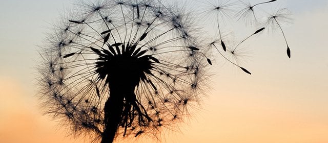 Horoskop na 13 Sierpień 2025