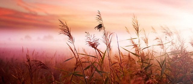 Horoskop na 4 Listopad 2025