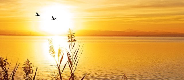 Horoskop na 14 Listopad 2025