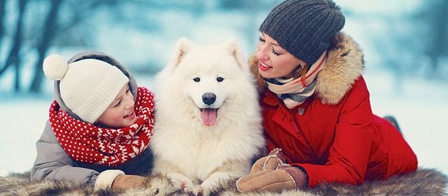 Horoskop na 14, grudnia 2025 r.