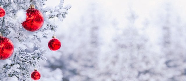 Horoskop na 23, grudnia 2025 r.