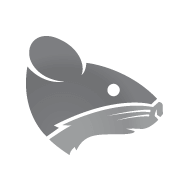 Szczur