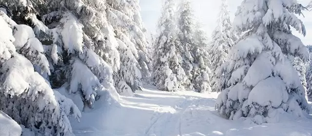 Horoskop na  Środa 11 Luty 2026