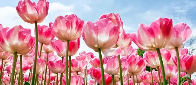 Horoskop na  Sobota 7 Marzec 2026