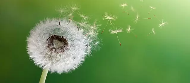 Horoskop na  Środa 11 Marzec 2026