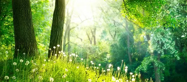 Horoskop na  Piątek 13 Marzec 2026