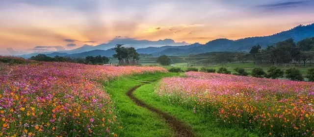 Horoskop na  Czwartek 26 Marzec 2026