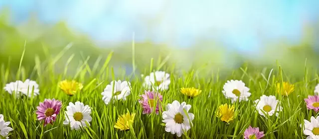 Horoskop na  Sobota 28 Marzec 2026