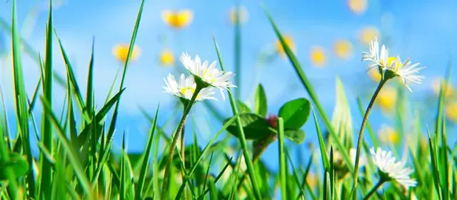 Horoskop na  Piątek 3 Kwiecień 2026