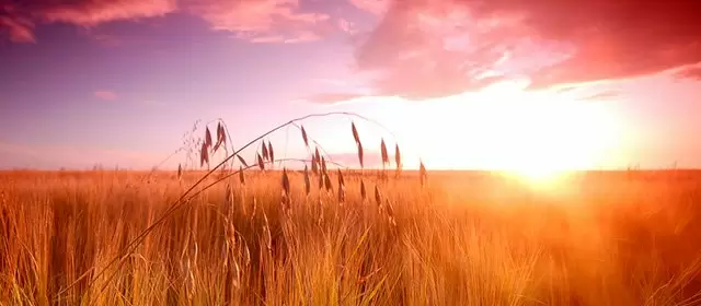 Horoskop na Piątek 1 Sierpień 2025