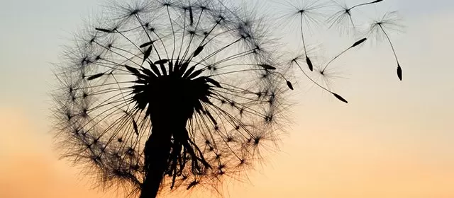 Horoskop na Środa 13 Sierpień 2025