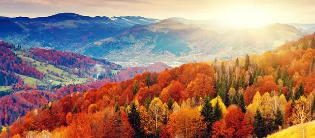 Horoskop na Czwartek 16 Październik 2025