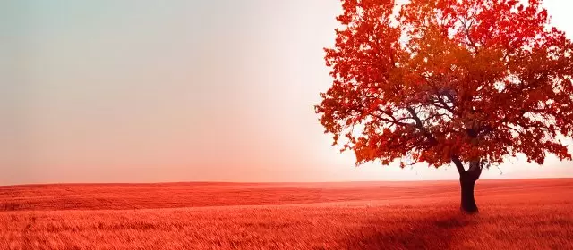 Horoskop na Piątek 17 Październik 2025