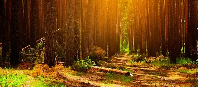 Horoskop na Poniedziałek 20 Październik 2025