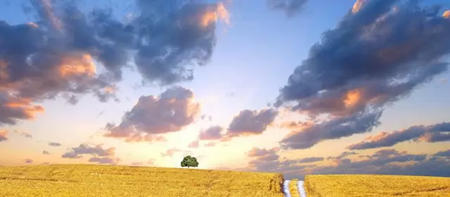 Horoskop na Sobota 1 Listopad 2025
