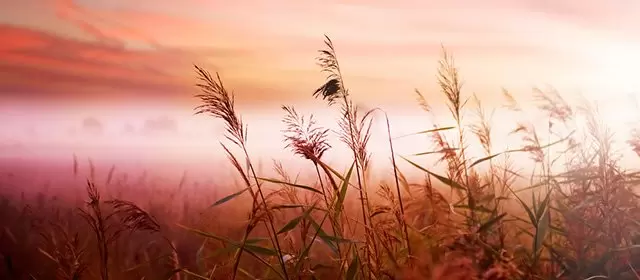 Horoskop na Wtorek 4 Listopad 2025