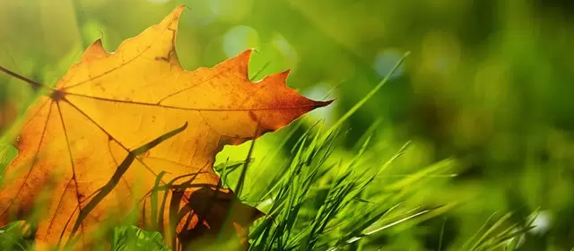 Horoskop na Wtorek 11 Listopad 2025