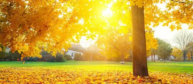 Horoskop na Środa 12 Listopad 2025