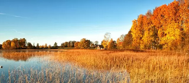 Horoskop na Czwartek 13 Listopad 2025