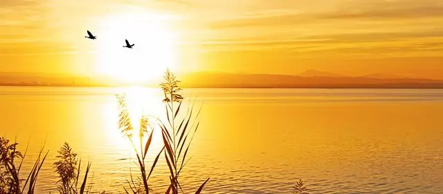 Horoskop na Piątek 14 Listopad 2025