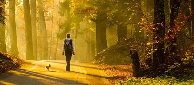 Horoskop na Poniedziałek 17 Listopad 2025