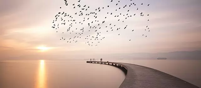 Horoskop na Czwartek 20 Listopad 2025