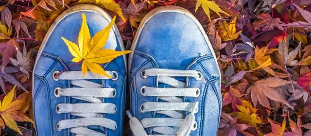 Horoskop na Piątek 21 Listopad 2025