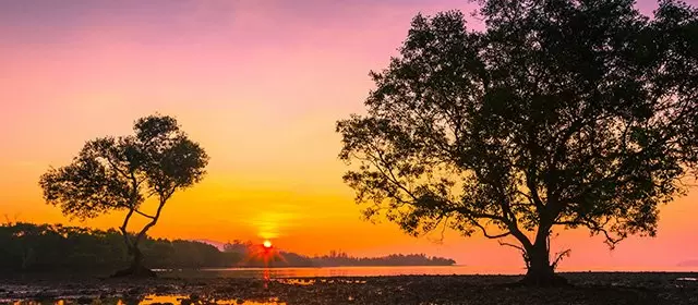 Horoskop na Sobota 22 Listopad 2025