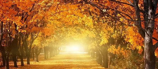 Horoskop na Poniedziałek 24 Listopad 2025