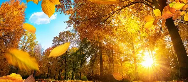 Horoskop na Środa 26 Listopad 2025