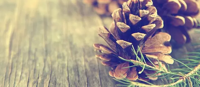 Horoskop na Niedziela 7 Grudzień 2025